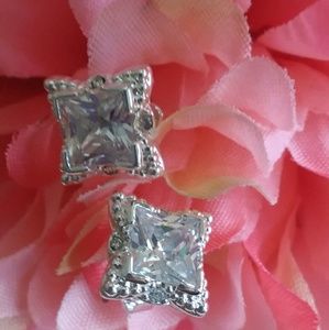 CZ Post Silvertone NWOT